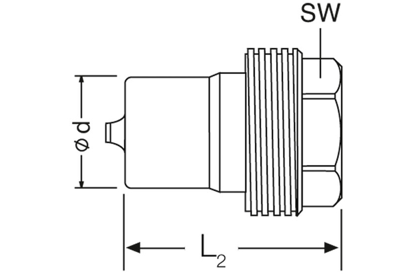 SK-VV04BSP06S