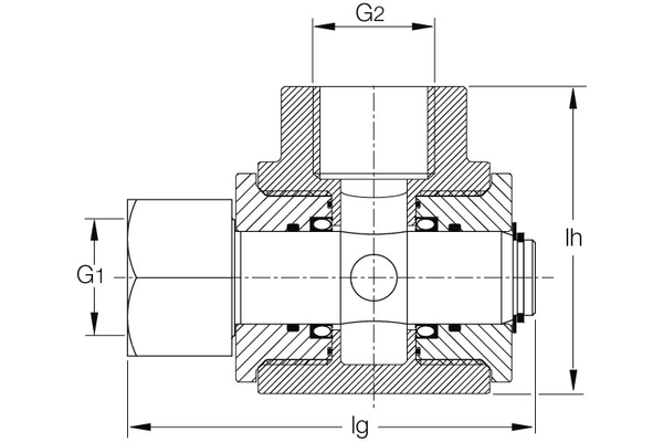 DG2NI24-W